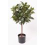 Artificial Cherry Laurel Ball DRODY, natural trunk, fruits, 24"/60cm
