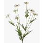 Textile flower daisy LASAI, cream, 30"/75cm