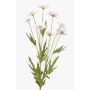Textile flower daisy LASAI, pink, 30"/75cm