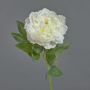 Silk peony DIVIN, cream, 26"/65cm