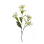 Fake hydrangea ALAZNE, cream, 30"/75cm