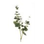 Artificial eucalyptus branch DEREK, green-grey, 30"/75cm