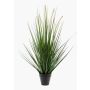 Decorative Foxtail grass OTIS with panicles, green, 28"/70cm
