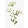 Plastic dill branch HAKIM with flowers, white, 31"/80cm