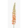 Textile flower foxtail lily AOMORI, cream-pink, 3ft/105cm