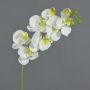 Decorative Phalaenopsis orchid branch MINA, white, 28"/70cm