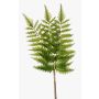 Artificial sword fern branch HALIMA, green, 24"/60cm