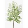 Artificial maidenhair fern branch HALIMA, green, 24"/60cm