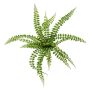 Artificial button fern BELONA, green, 20"/50cm