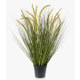 Decorative Foxtail grass CAREL with panicles, green, 28"/70cm