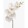 Decorative Phalaenopsis orchid branch NEITH, white, 33"/85cm
