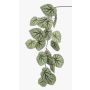 Decorative begonia rex branch MEIRA, green-grey, 4ft/110cm