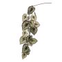 Decorative begonia rex branch MEIRA, green-violet, 4ft/110cm