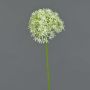 Artificial Allium flower ARNAU, cream-green, 24"/60cm