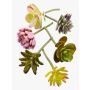 Plastic succulents JADON, spike, 6 pieces, colourful, 5"/13cm, Ø 2"/5cm