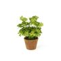 Artificial clover NICCOLO in decorative pot, green, 25cm