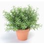 Artificial Rosemary JOSHUA in a clay pot, green, 20cm, Ø17cm