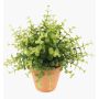 Artificial herbs: Eucalyptus JOSHUA in a terracotta pot, green, 20cm, Ø17cm