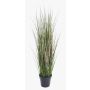 Artificial foxtail grass SAMMI, green, 26"/65cm