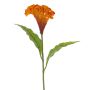 Artificial flower: Cockscomb ANUBIS, orange, 60 cm, Ø 14 cm
