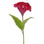 Artificial flower, cockscomb ANUBIS, violet-red, 60 cm, Ø 14 cm