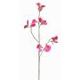 Decorative flower Lathyrus ASFALOTH, hot pink, 65 cm, Ø 3–5 cm