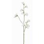 Decorative flower Lathyrus ASFALOTH, white, 26"/65cm, Ø1.2"-2"/3-5cm