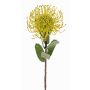 Artificial protea pin cushion BAILY, yellow-green, 55cm, Ø10cm