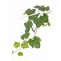 Artificial grapevine branch BJON, crossdoor, green, 60cm