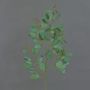 Decorative eucalyptus branch COBAR, flowering, crossdoor, green, 65cm, Ø1.5cm