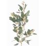Decorative eucalyptus branch COBAR, flowering, crossdoor, green, 26"/65cm, Ø0.6"/1.5cm