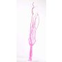 Mitsumata twigs GERY, 3 pieces, pink, 3ft/105cm