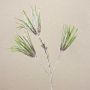 PEER artificial pine branch, frosted, green-grey, 50 cm