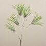Artificial pine branch PEER, frosted, green-grey, 80cm