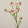 AISHA artificial wax flower, pink, 65cm, Ø1–1.5cm