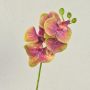 Decorative Phalaenopsis orchid branch OPHELIA, pink and green, 40cm, Ø7–8cm