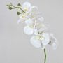 Decorative Phalaenopsis Orchid Branch OPHELIA, white, 80cm, Ø8–9cm