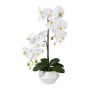 Artificial Phalaenopsis orchid KASDA, ceramic pot, roots, white, 20"/50cm