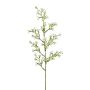 Artificial flower branch Star flower KLIRMO, white, 24"/60cm