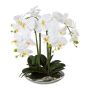 False Phalaenopsis orchid MANULO, silvery ceramic bowl, roots, white, 16"/40cm