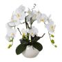 Artificial orchid and corkscrew willow arrangement LULUDI, white ceramic pot, roots, white, 22"/55cm