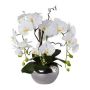 Artificial orchid and corkscrew willow arrangement LULUDI, silver ceramic pot, roots, white, 22"/55cm