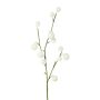 Artificial gomphocarpus physocarpus branch BRAVON, fruits, white, 31"/80cm