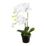 Artificial Phalaenopsis orchid WENJAN, decorative pot, roots, white, 22"/55cm