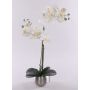 Fabric Phalaenopsis orchid KAREN, decorative pot, frosted, white, 50cm
