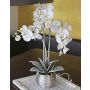 Fabric Phalaenopsis orchid KAREN, decorative pot, frosted, white, 60cm