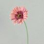 Artificial flower Gerbera TEUDELINDE, dusky pink, 22"/55cm, Ø3.1"/8cm
