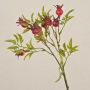Artificial dog rose branch VIVEKA with rose hips, red, 20"/50cm