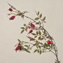 Fake dog rose branch VARDALIA with rose hips, red, 3ft/95cm