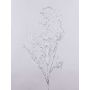 Artificial willow branch DONATELLA, silver, 37"/95cm